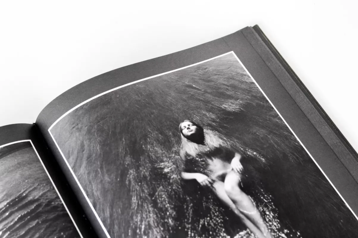 Žiedai tarp žiedų - Rimantas Dichavičius, knyga 5