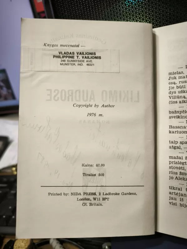 Likimo audrose - Vladas Vailionis, knyga 4