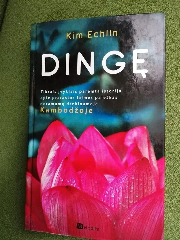 Dingę - Kim Echlin, knyga 2
