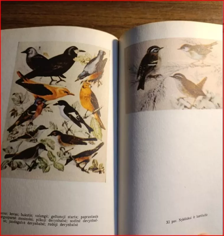 Miško paukščių bei žvėrių biologija ir medžioklės ūkio pagrindai - T. Ivanauskas, ir kiti , knyga 6