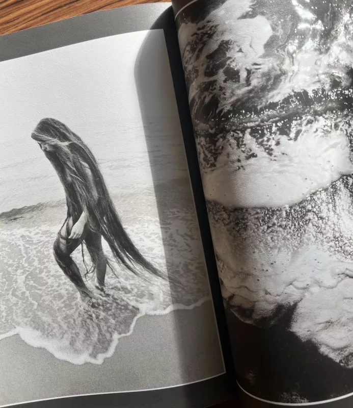 Žiedai tarp žiedų - Rimantas Dichavičius, knyga 4