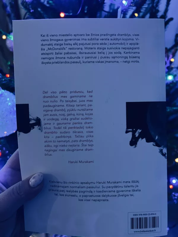 Dramblys pradingsta - Haruki Murakami, knyga 3