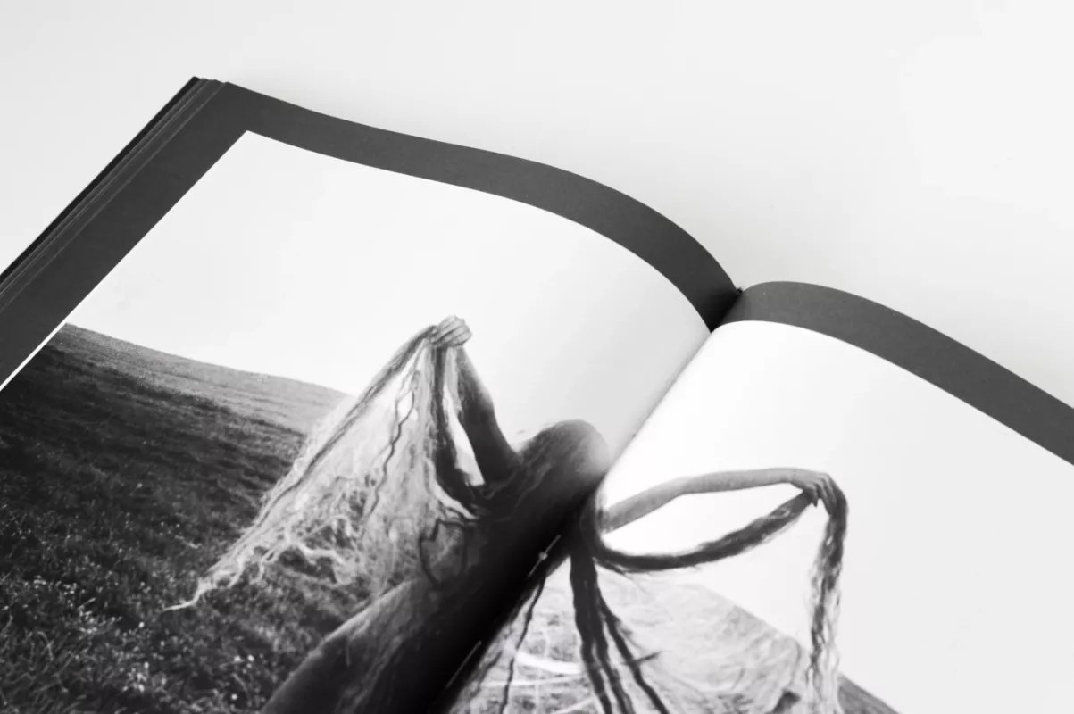 Žiedai tarp žiedų - Rimantas Dichavičius, knyga 3