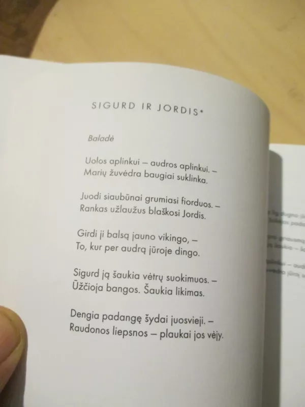 Tolimas sapnas (su CD) - Salomėja Nėris, knyga 6