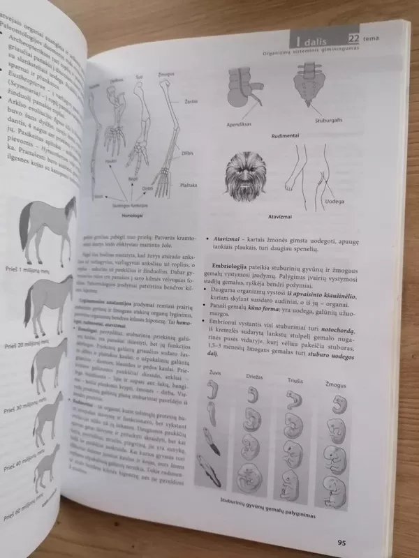Prieš egzaminą Biologija - Jolanta Martinionienė, Laima  Lapinskaitė, Pranė  Stankevičienė, knyga 3