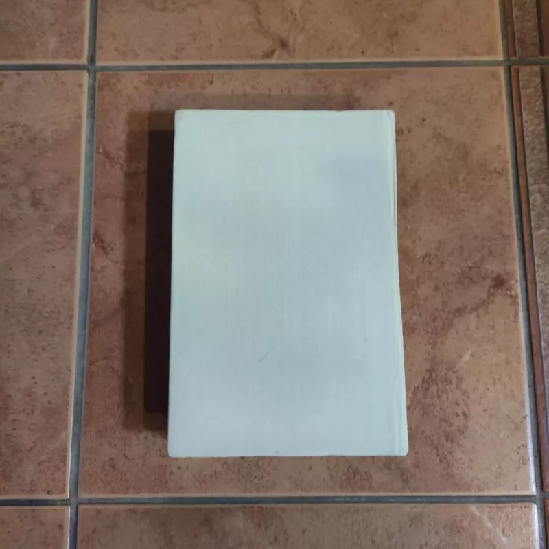 Lietuvių liaudies dainynas (4 tomas): Vestuvinės dainos (2 knyga) - Autorių Kolektyvas, knyga 5