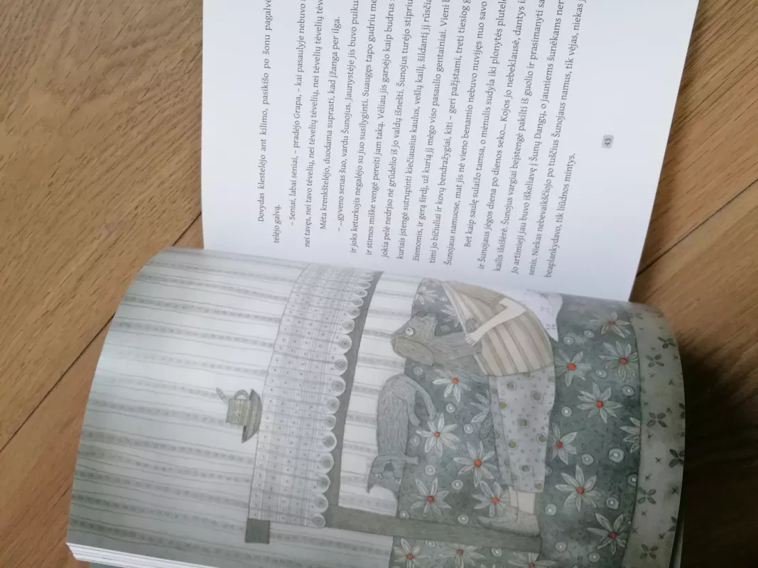 Šunojaus diena - Ilona Ežerinytė, knyga 6