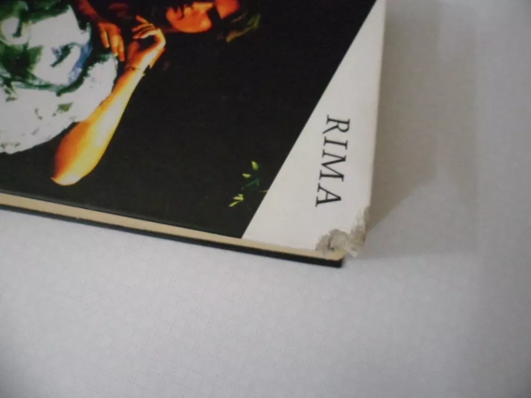 Per aspera... - Rima Urmetzer, knyga 4