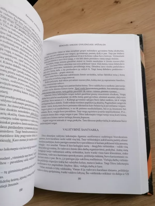 Senosios civilizacijos - Janina Varnienė, knyga 5