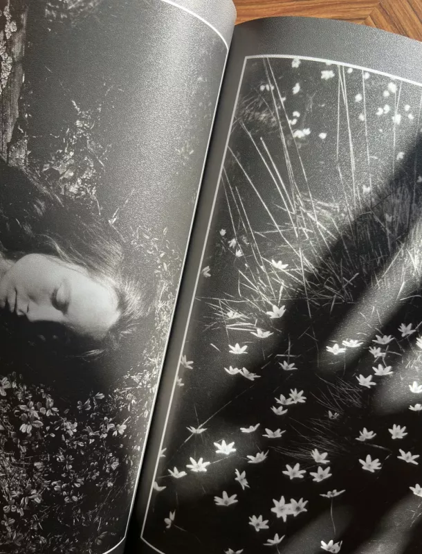 Žiedai tarp žiedų - Rimantas Dichavičius, knyga 3