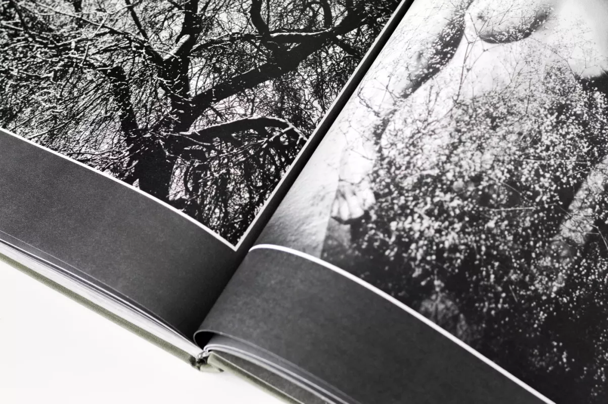 Žiedai tarp žiedų - Rimantas Dichavičius, knyga 4