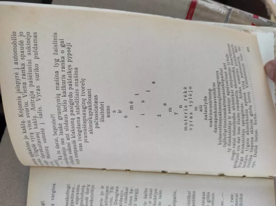 Ragana ir lietus - Jurga Ivanauskaitė, knyga 3