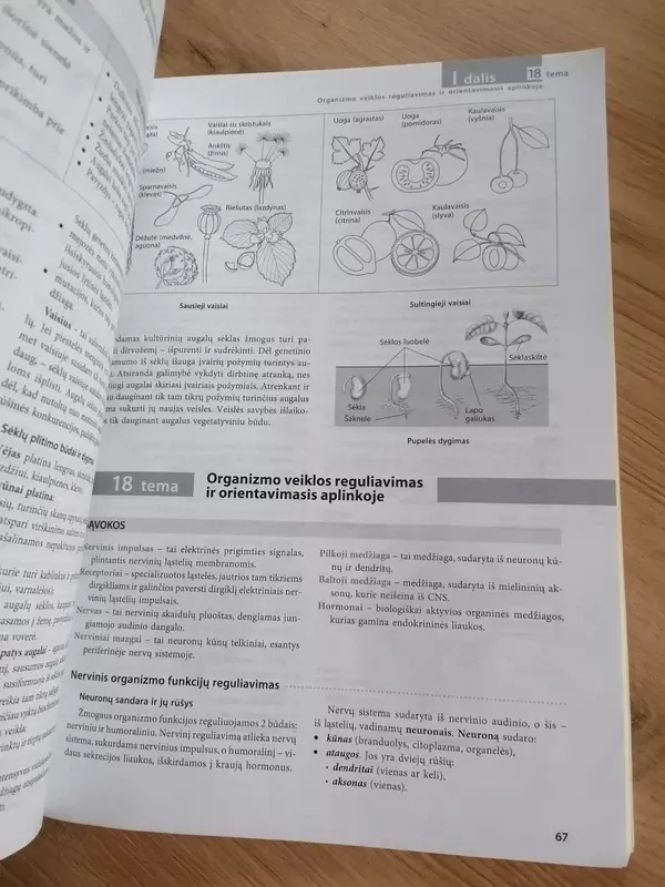 Prieš egzaminą Biologija - Jolanta Martinionienė, Laima  Lapinskaitė, Pranė  Stankevičienė, knyga 4