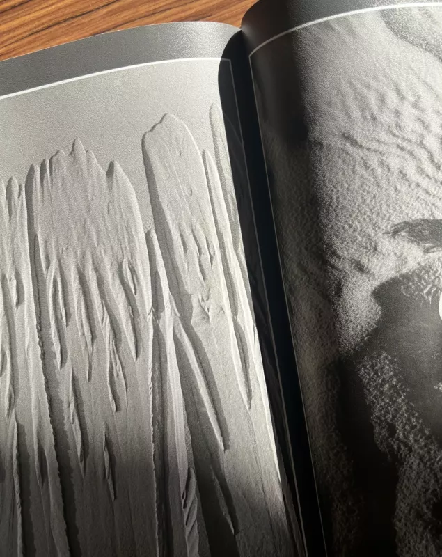 Žiedai tarp žiedų - Rimantas Dichavičius, knyga 6