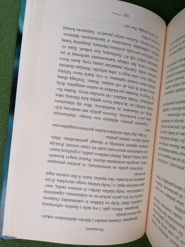 Dingę - Kim Echlin, knyga 5