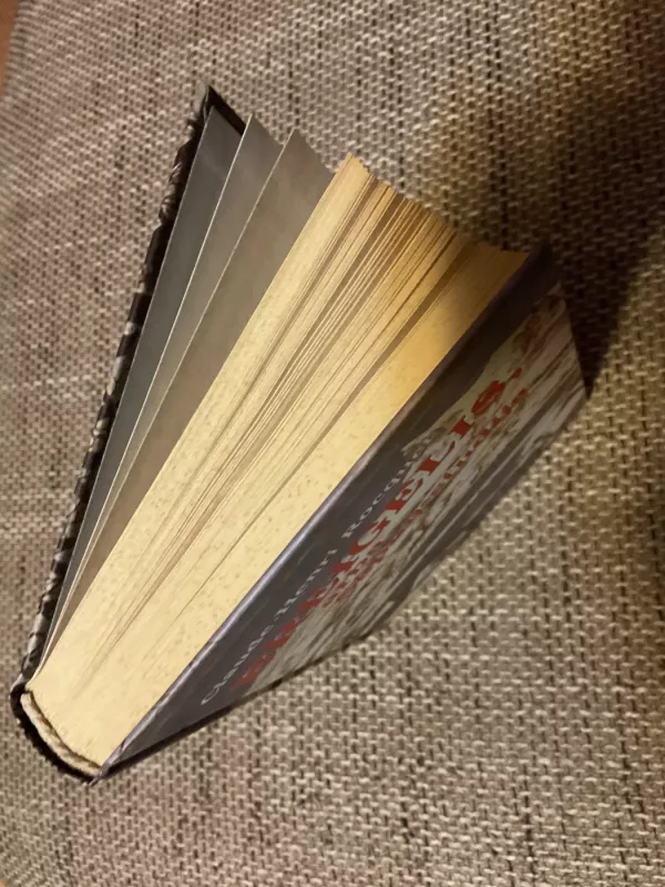 Breigelis arba sapnų studija - Claude-Henri Rocquet, knyga 3