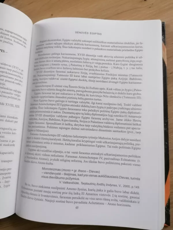 Senosios civilizacijos - Janina Varnienė, knyga 3
