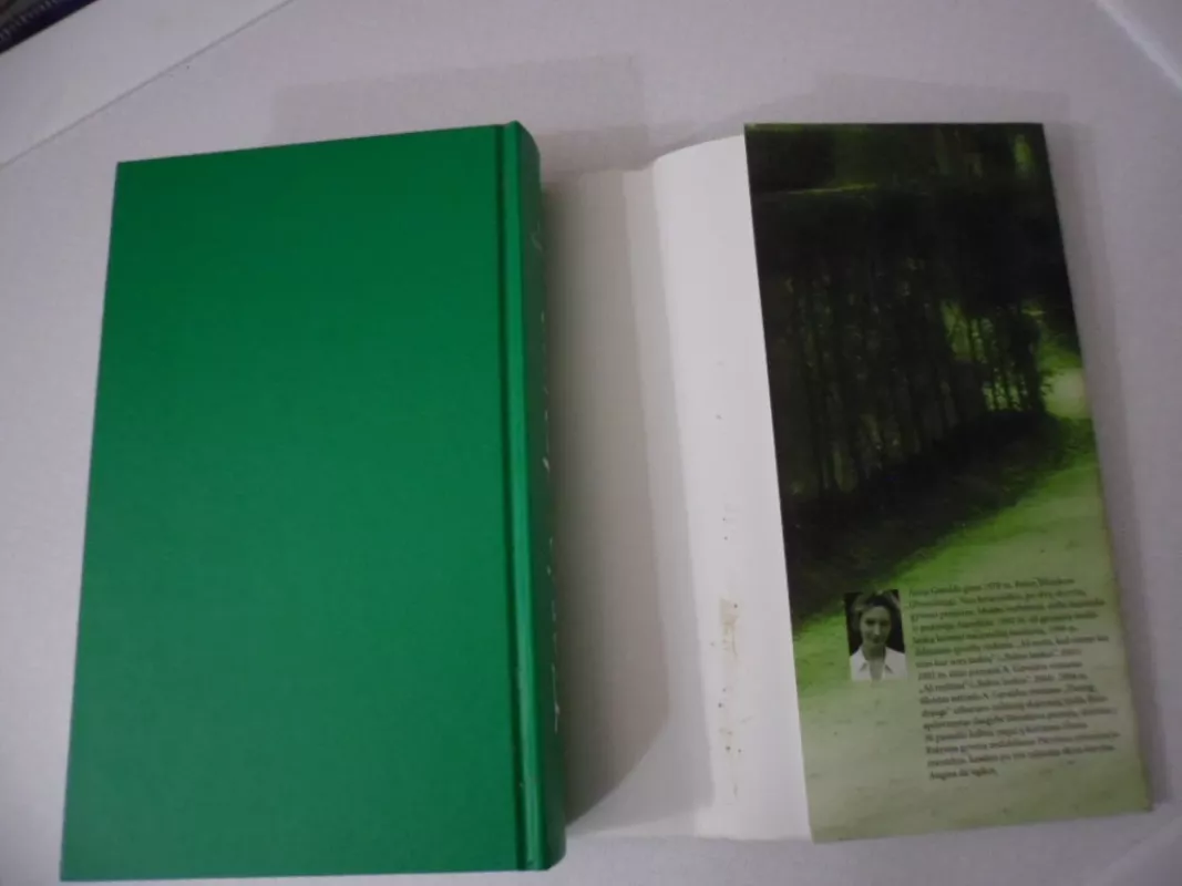 Tiesiog drauge - Anna Gavalda, knyga 5