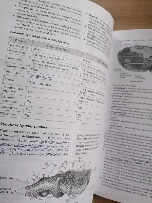 Prieš egzaminą Biologija - Jolanta Martinionienė, Laima  Lapinskaitė, Pranė  Stankevičienė, knyga 5