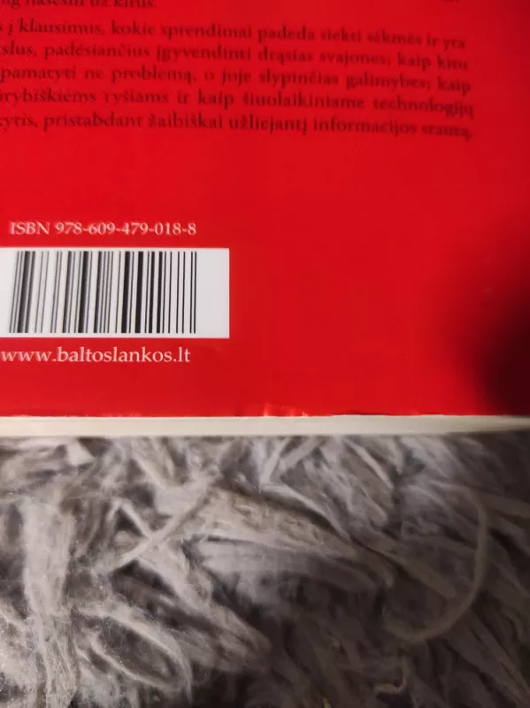 Geriau, greičiau, efektyviau. Produktyvumas versle ir gyvenime - Duhigg Charles, knyga 3