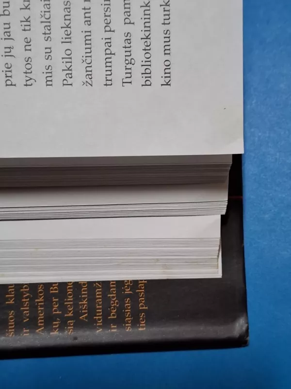 Istorikė - Elizabeth Kostova, knyga 6