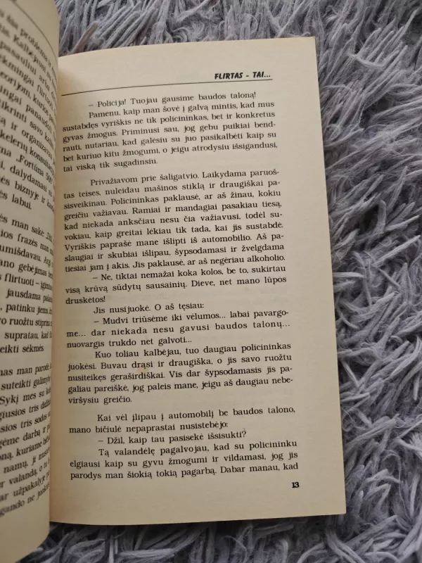 Flirtas-kelias į sėkmę - Jill Spiegel, knyga 3