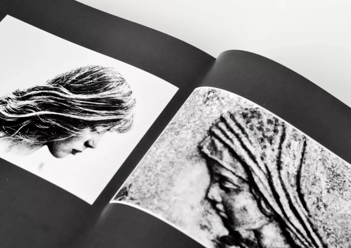 Žiedai tarp žiedų - Rimantas Dichavičius, knyga 2