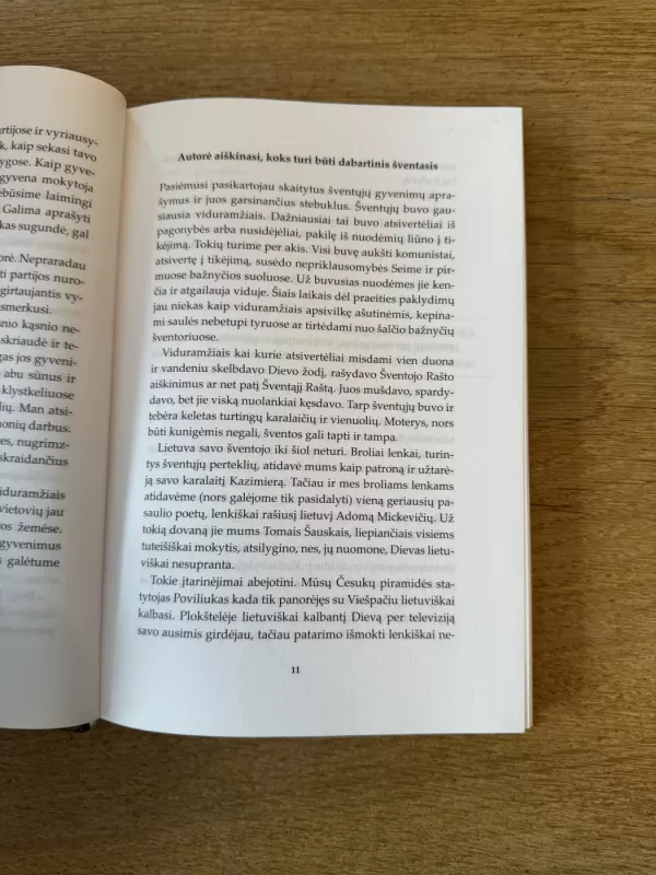 Šventųjų gyvenimas Marijos žemėje - Filomena Taunytė, knyga 4