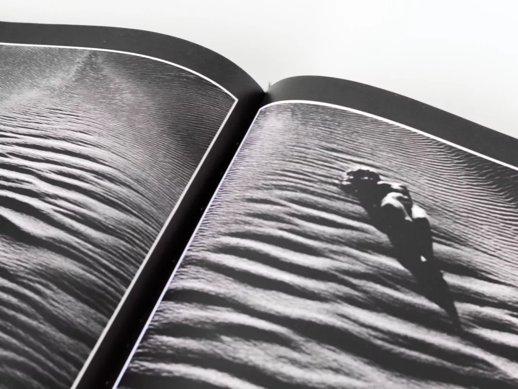 Žiedai tarp žiedų - Rimantas Dichavičius, knyga 6