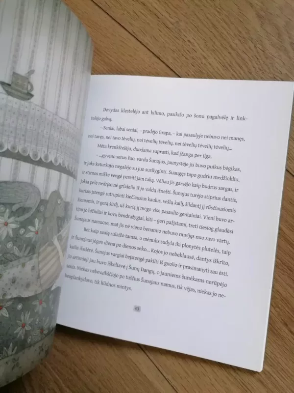 Šunojaus diena - Ilona Ežerinytė, knyga 5