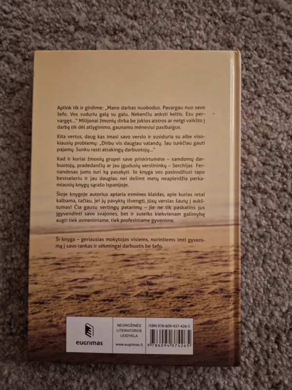 Gyvenu be šefo: ši knyga paskatins tave pamėgti savarankišką darbą - Sergio Fernandez, knyga 2