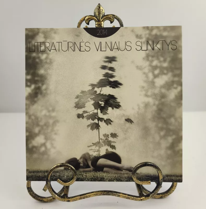 Literatūrinės Vilniaus slinktys 2014 - Ernestas Noreika, Mantas Balakauskas , knyga 3