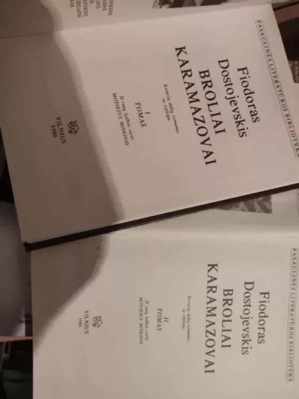 Broliai Karamazovai (2 knygos) - Fiodoras Dostojevskis, knyga 2