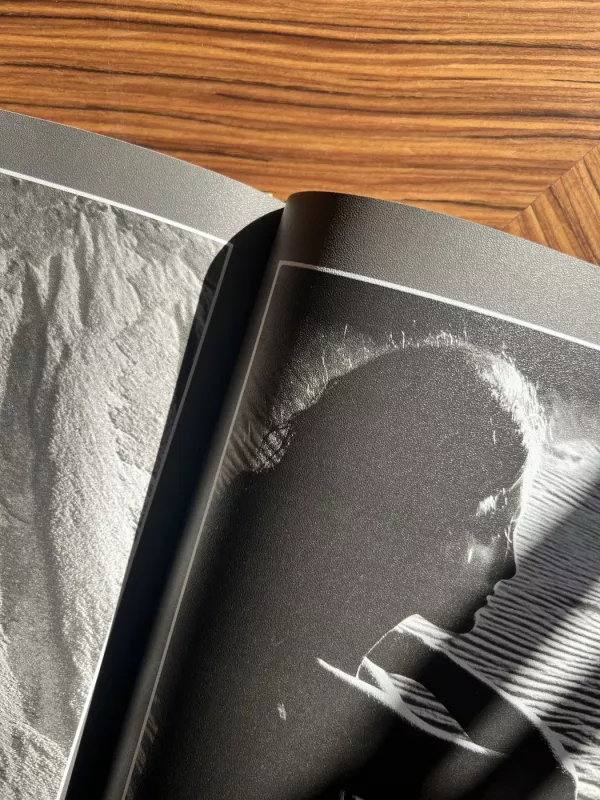 Žiedai tarp žiedų - Rimantas Dichavičius, knyga 5