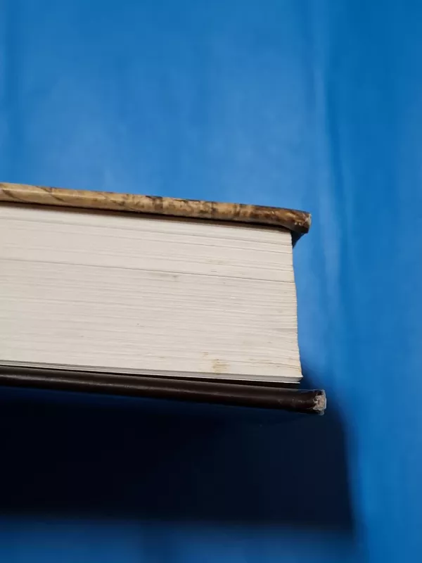 Istorikė - Elizabeth Kostova, knyga 5