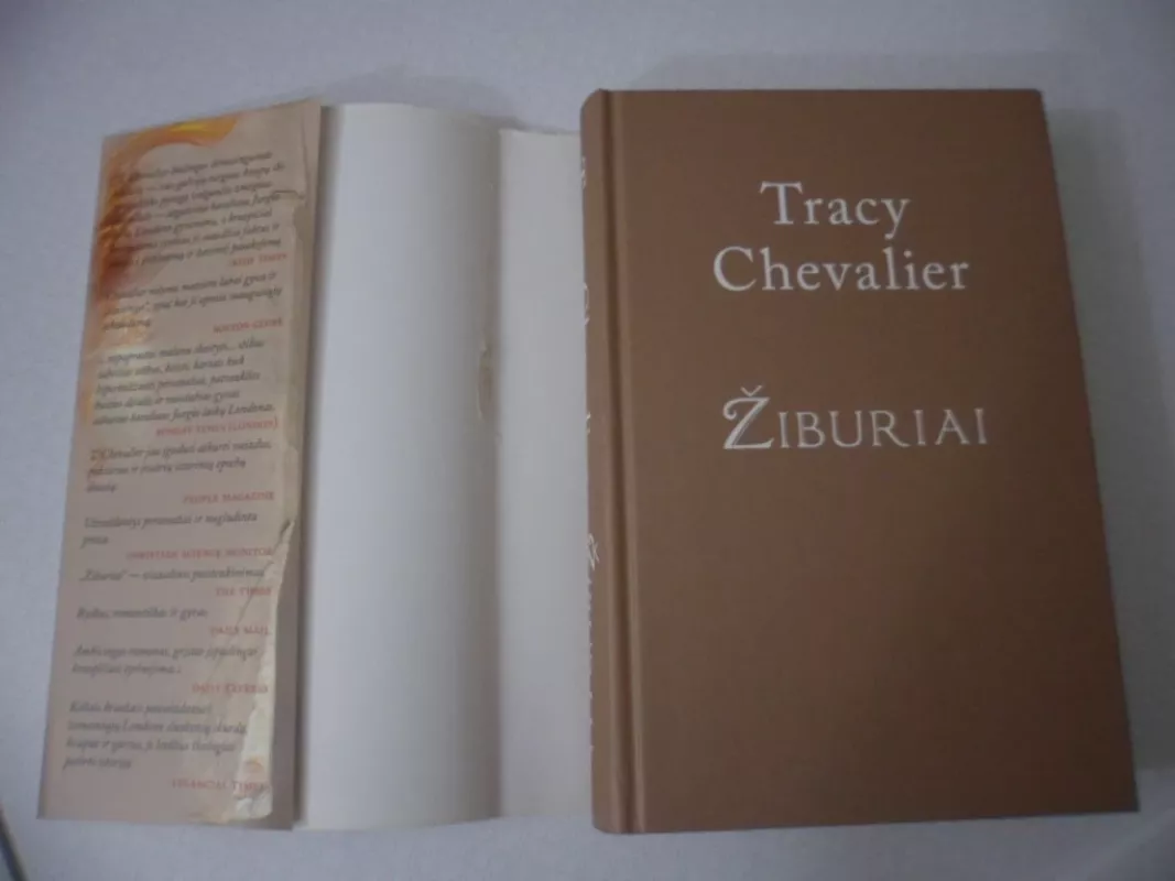 Žiburiai - Tracy Chevalier, knyga 3