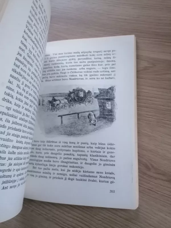 Mirusios sielos - Nikolajus Gogolis, knyga 6