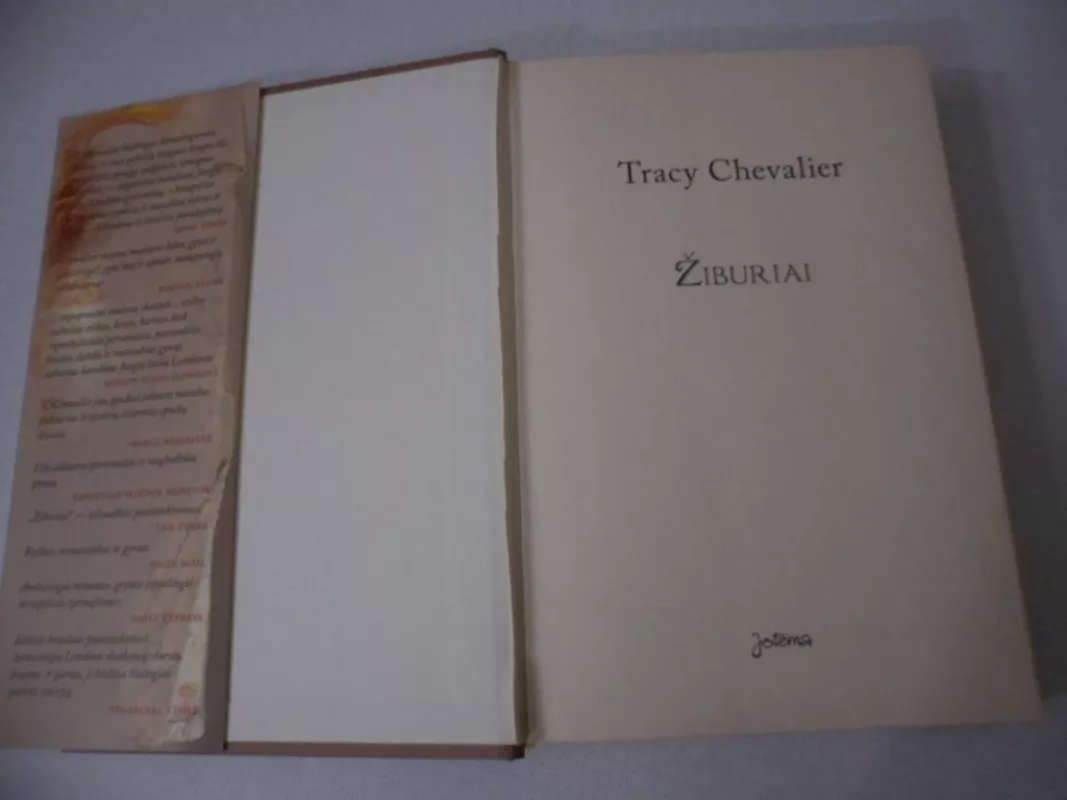 Žiburiai - Tracy Chevalier, knyga 4