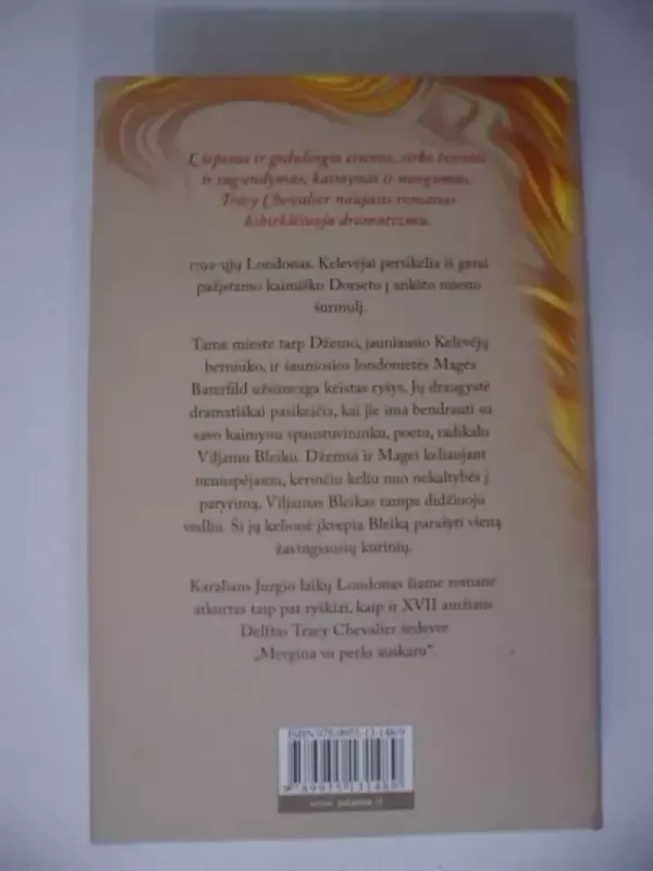 Žiburiai - Tracy Chevalier, knyga 5