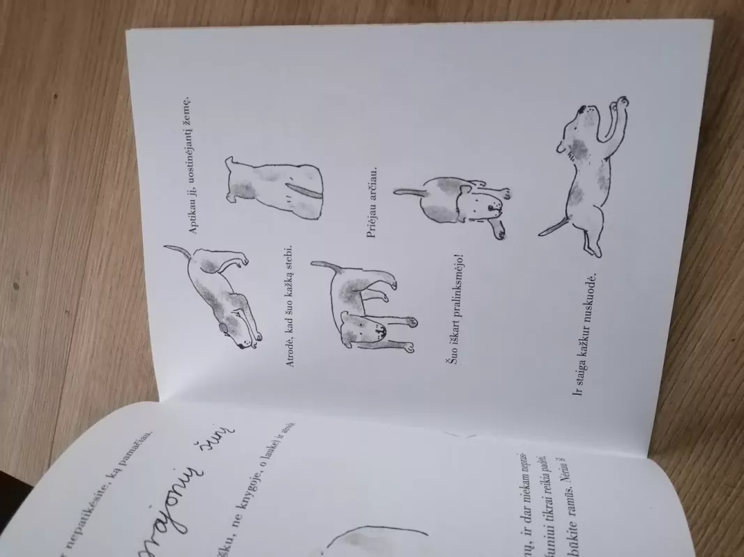 Vilniaus Vilnius - Živilė Miežytė, knyga 5