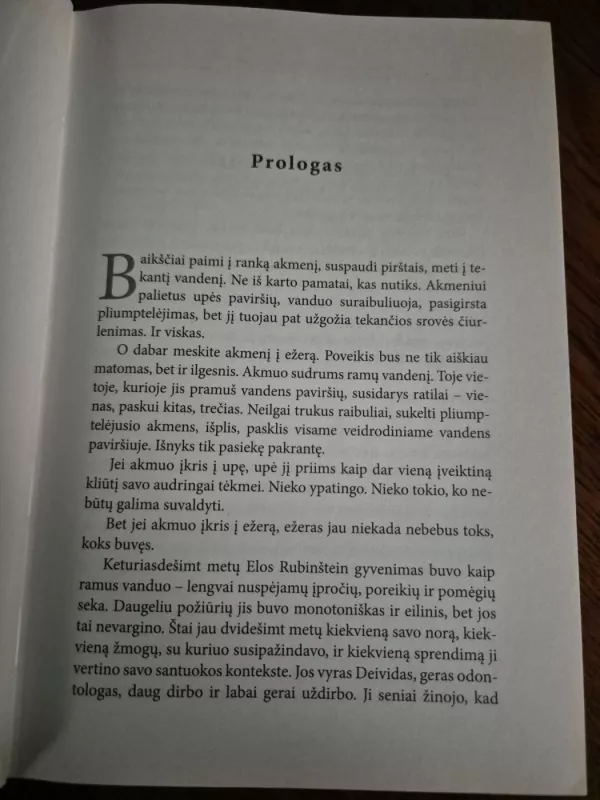 Keturiasdešimt meilės taisyklių - Elif Shafak, knyga 4