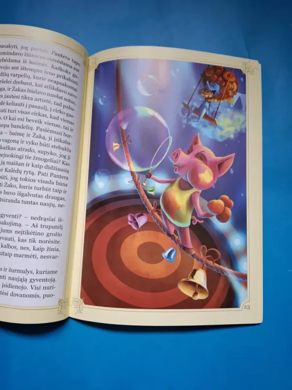 Istorijos apie meilę, stebuklus ir ilgesį - Vaida Kavaliauskaitė, knyga 4