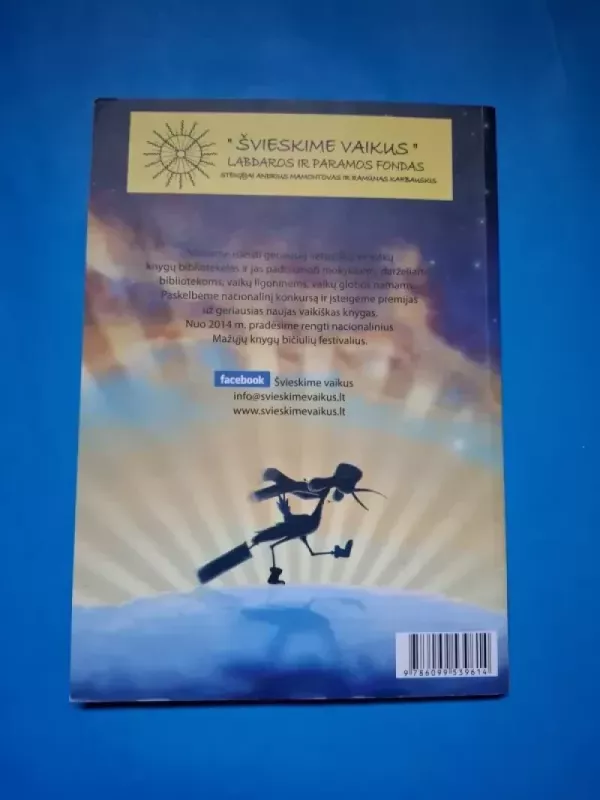 Istorijos apie meilę, stebuklus ir ilgesį - Vaida Kavaliauskaitė, knyga 6