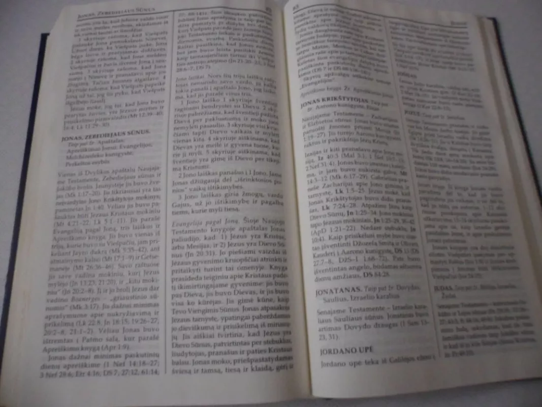 Mormono Knyga. Dar vienas Jėzaus Krtistaus testamentas - Autorių Kolektyvas, knyga 6