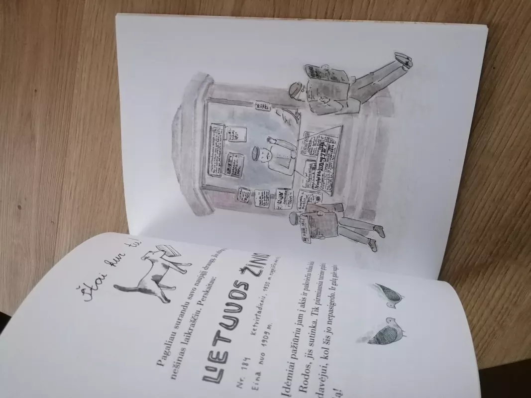 Vilniaus Vilnius - Živilė Miežytė, knyga 6