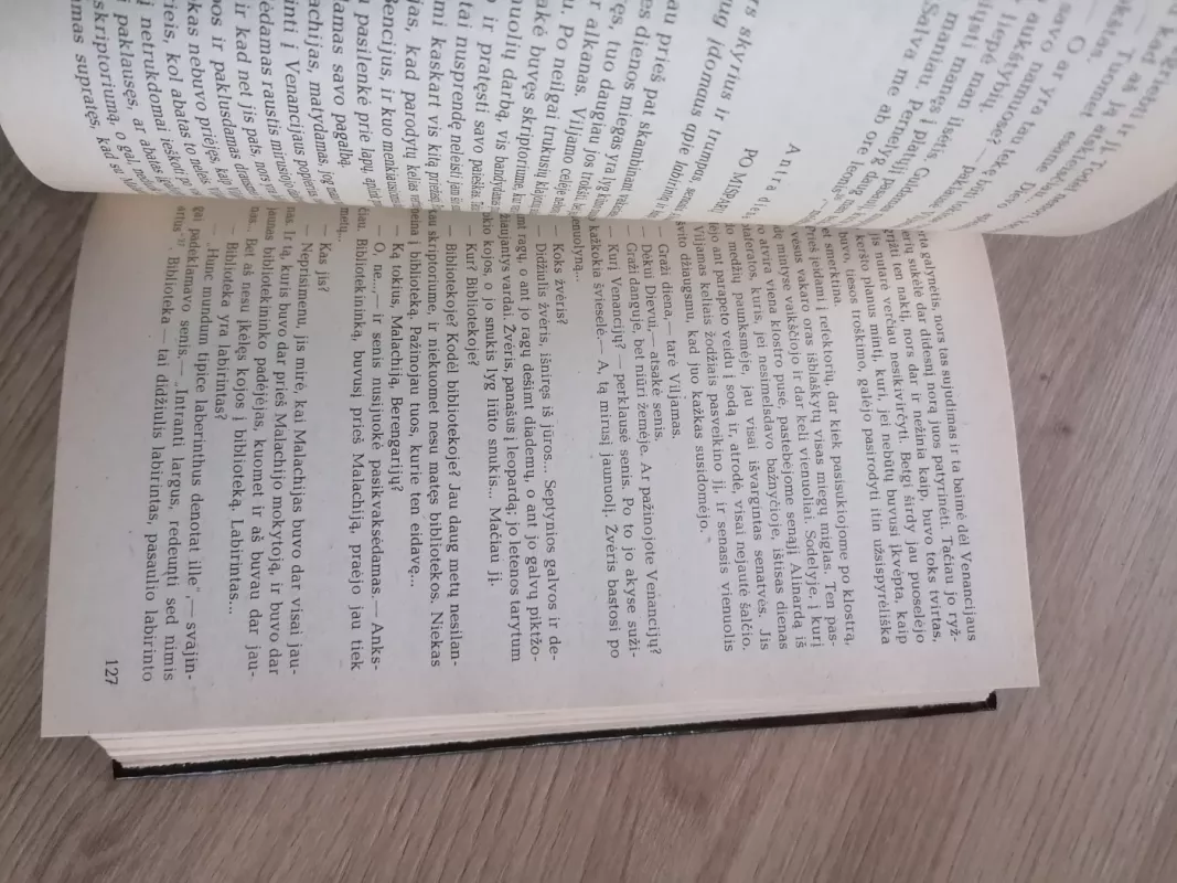 Rožės vardas - Umberto Eco, knyga 6