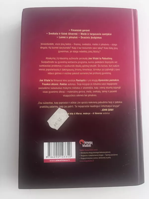 Pabudimas. Visų problemų sprendimo paslaptis - Joe Vitale, knyga 3