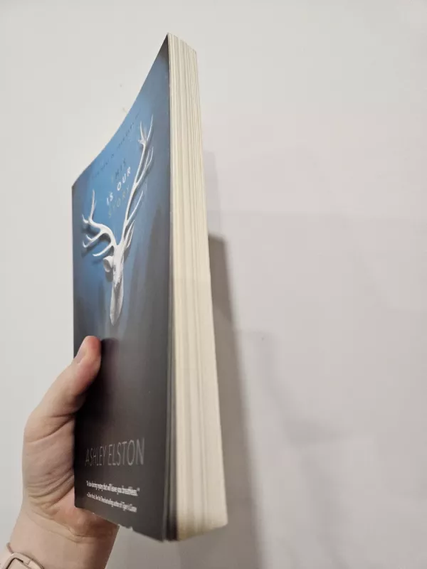 This is our story - Ashley Elston, knyga 3