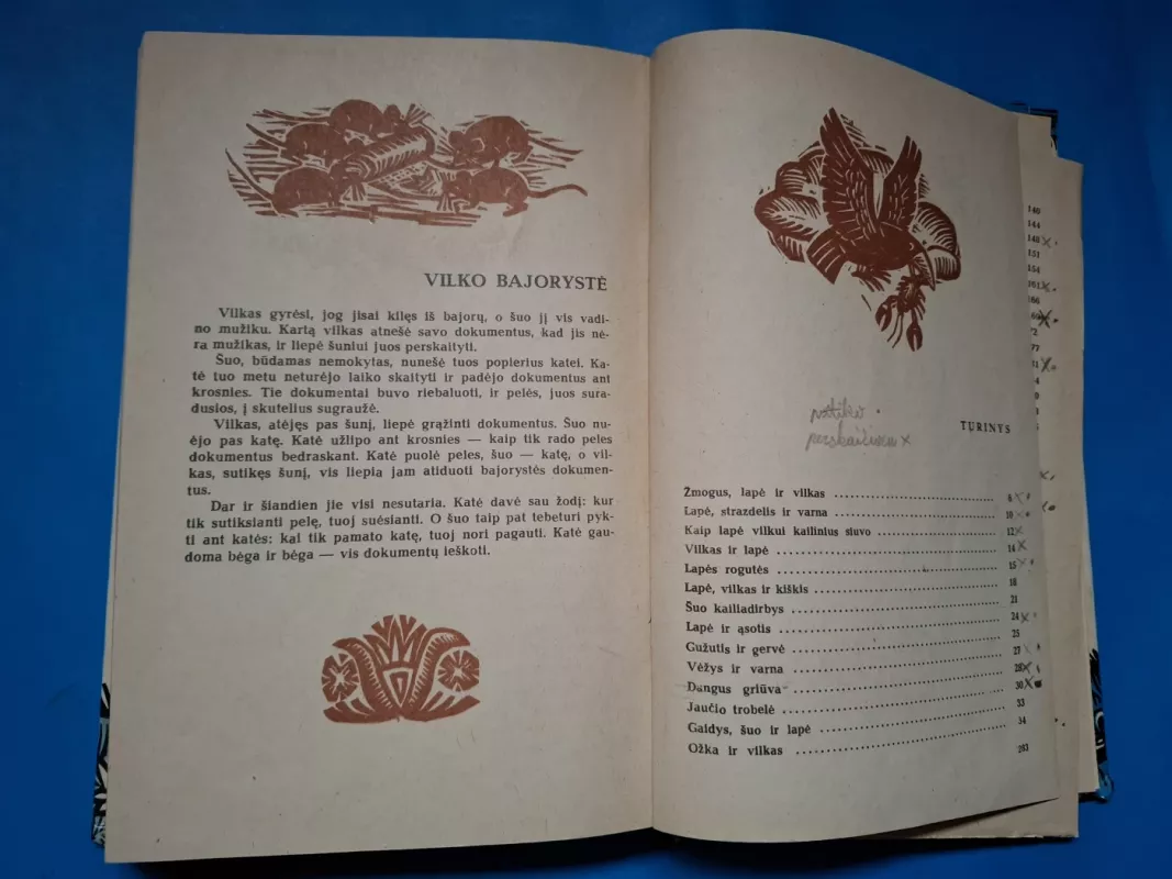 Gulbė karaliaus pati - Autorių Kolektyvas, knyga 5