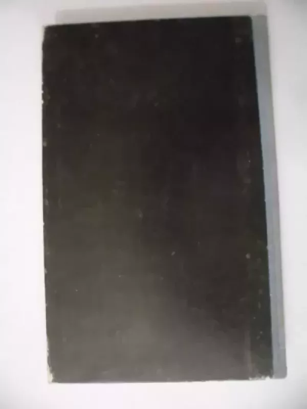 Rugiuose prie bedugnės - Džeromas Selindžeris, knyga 4